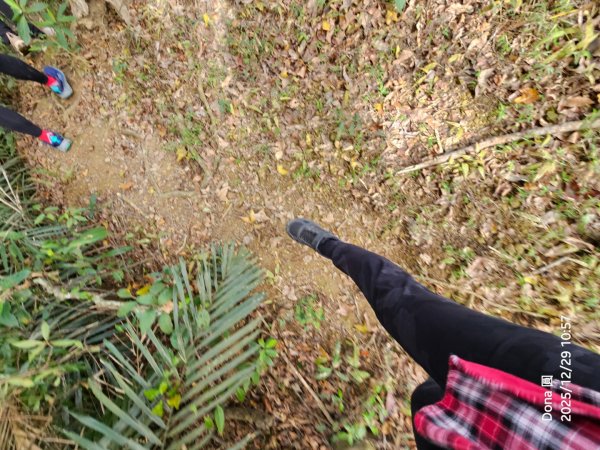 20251229石龜坑山上白石山下白石埤O走+阿姆坪2976677