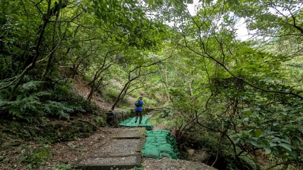 114.05.30大粗坑古道-金瓜石山-小粗坑山之旅2799430