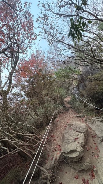 再見加里山2961844