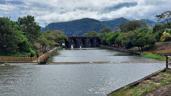 110/10/23樟之細路：新竹縣關西鎮渡南古道、羅屋書院、關西金城武樹1496487