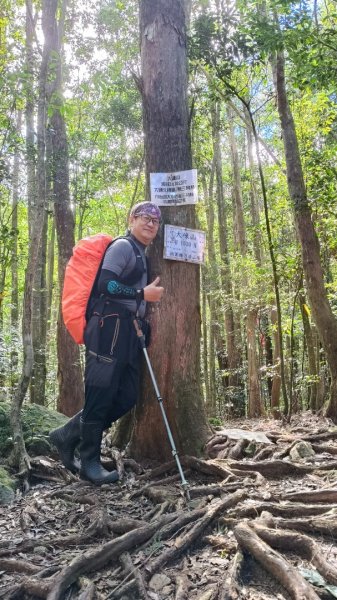 肥大醜三崠連走，鳶嘴西陵上鳶嘴山2650343