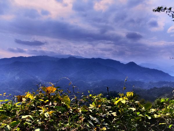 【新竹橫山】大崎棟古道107522