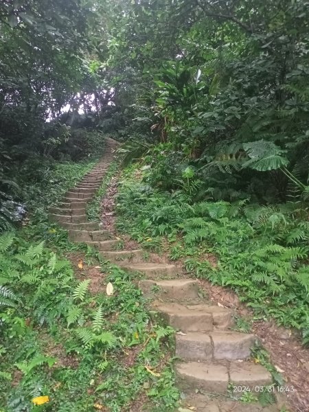 【臺北大縱走 6】中華科大→捷運麟光站、【小百岳集起來】#013 南港山 H375m2470674