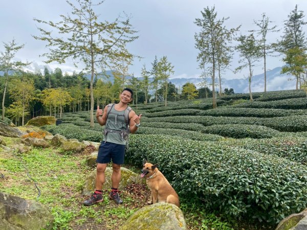 溪頭山-竹崙山-志騰山【夏日最愜意的避暑路線】2891492