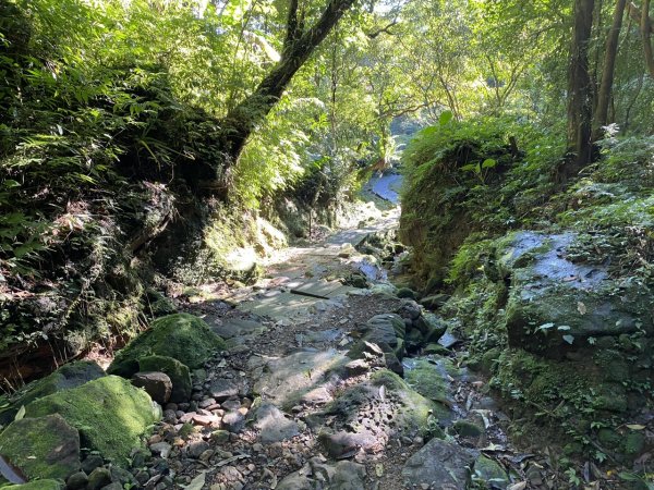 2023/12/14 碇內尖山 龍門山 五分山 淡蘭古道中路2399832