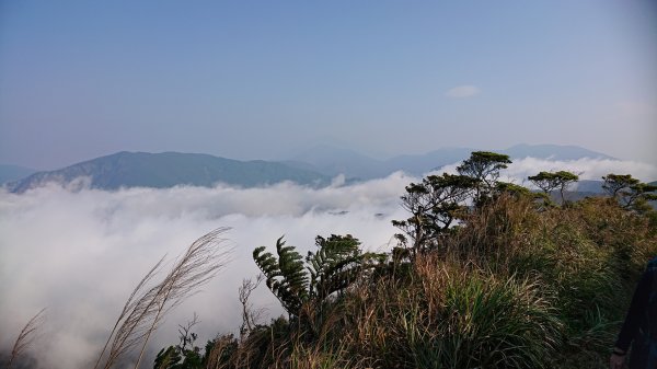 20200322浸水營古道1625413