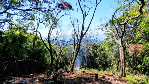 陽明山16草原之西線8草原2904048