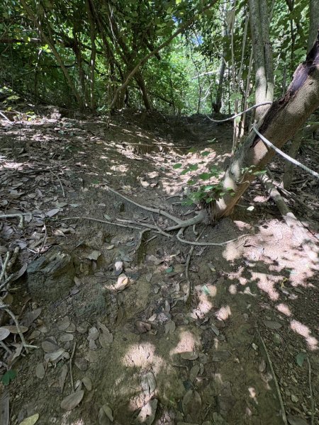 20251115壽山步道(元亨寺免費停車啟登)2938480