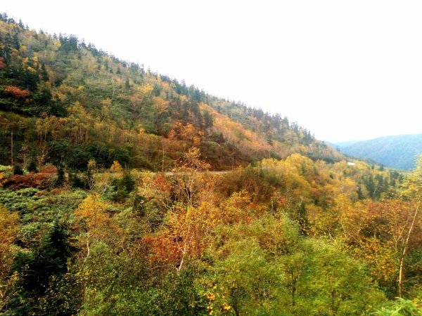 黑部立山秋行2933334