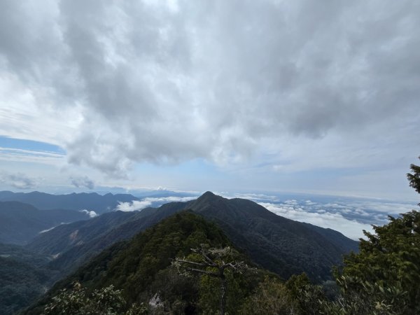鳶嘴山+稍來神木2709874