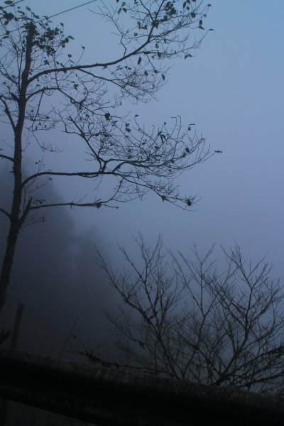 太平山見晴古道霧景濛濛 20181117469362