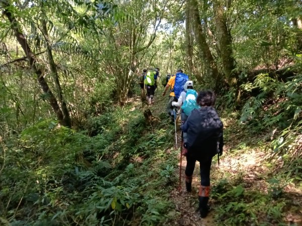 雙溪區大湖尾古道+灣潭古道O型2874795