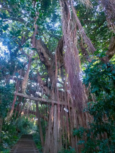 柴山/半屏山2858151
