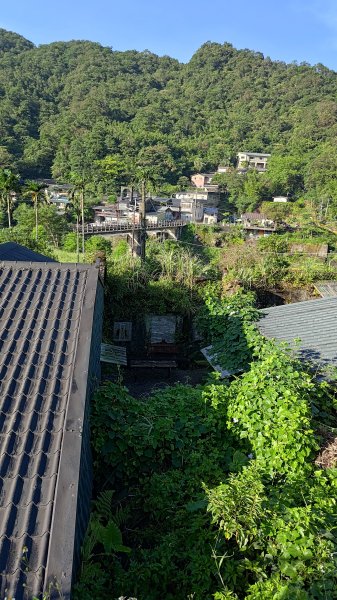 柴寮古道、中坑古道2814648