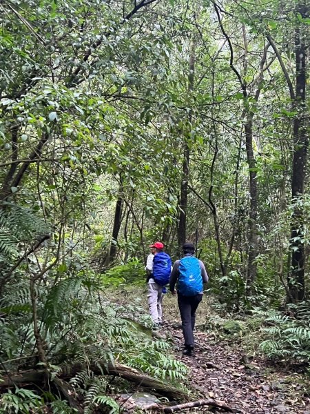 2025-01232淡蘭古道北二段(燦光寮古道到澳底)2696716