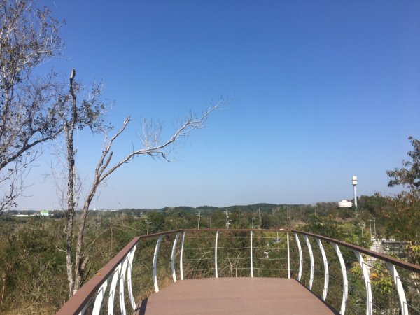 關廟森林公園、天空步道2423616