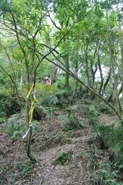 孝子山，慈母峰，普陀山，中央尖，臭頭山121033