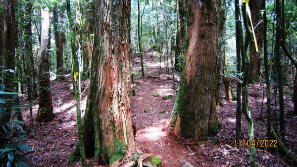 奮勇挺進 守城大山 - 明潭/南峰/守關山/守城大山1687746