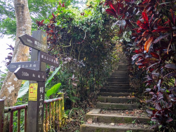 獨立山步道2961186