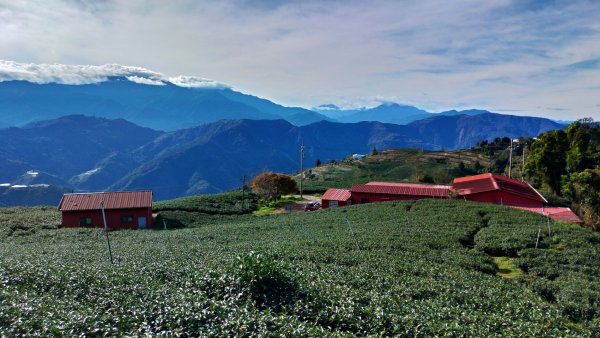 【南東眼山】埔里六秀2020/12/191212236