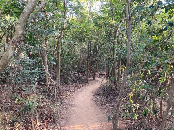 火炎山登山步道2386034