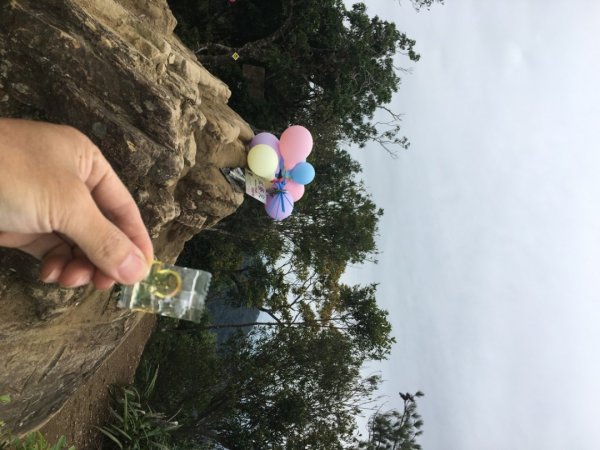 慶元旦（🎉🍾️2025-01-01🍾️🎊2680645