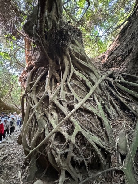 彰化一線天2657572