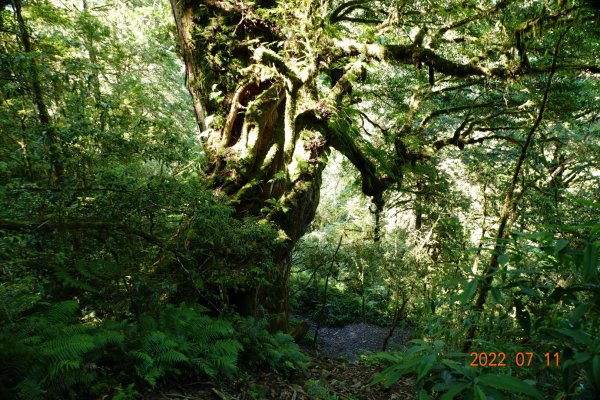 宜蘭 大同 加羅山1763867