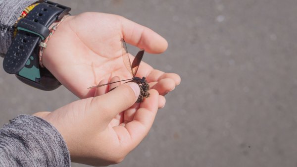 闊瀨古道-沿北勢溪谷而行的夏末之旅（淡蘭古道）2287615