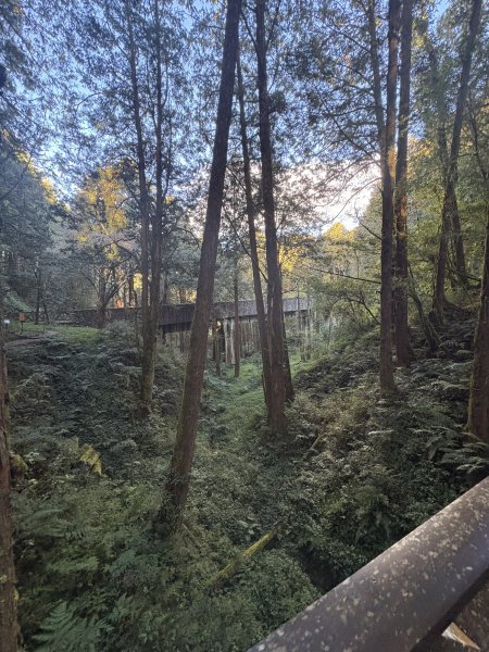 20251225塔山步道(大塔山)2970283