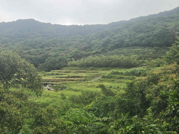 20260819九芎林山西北峰-主峰-土地公嶺3111515