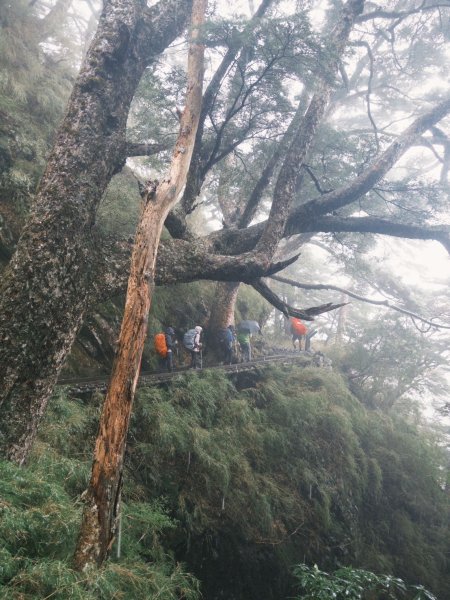 114.10.28玉山主峰3007348