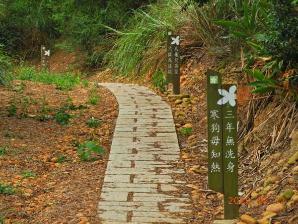 苗栗 通霄 高埔山1096929