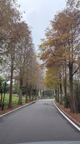 雨後2966822