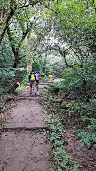 台北大縱走第一段1249194