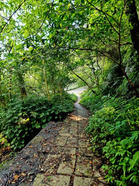 (二格山系)筆架連峰-2025微笑山線大縱走尋寶集章任務2866355