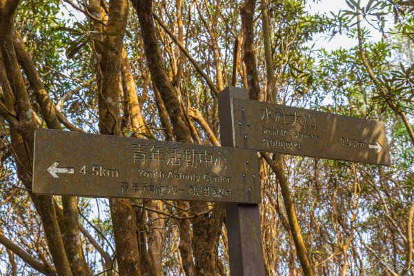 日月潭最高峰-水社大山3025311
