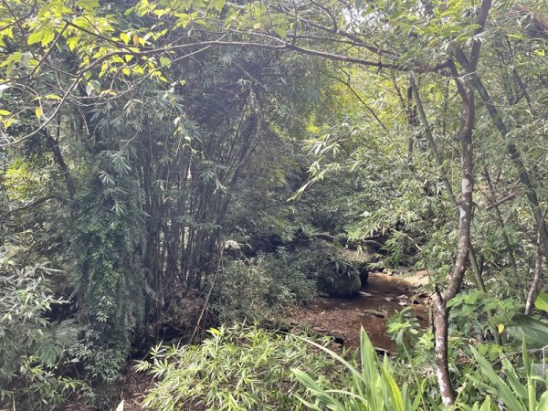 凱達格蘭山2877682