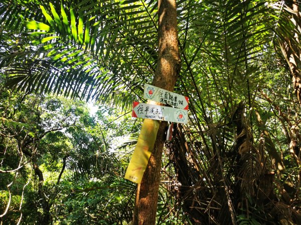 九華山福德宮-平溪子山-台和煤礦-北43鄉道-106縣道2907765