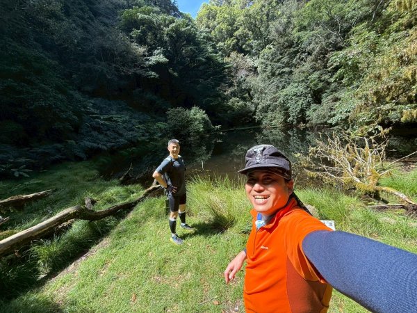 新竹 尖石 鎮西堡巨木群步道A線巨木群 毒龍潭2884752