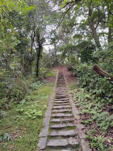 大溪齋明寺古道828751