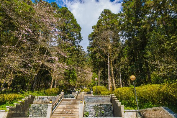 [宜蘭]明池森林遊樂區2725155