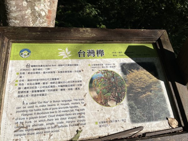 [玉山尋寶任務-03/12] 2025_0810 瓦拉米步道2857467