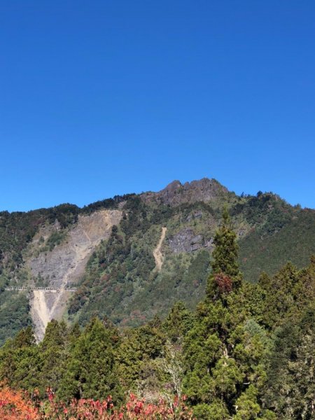 阿里山山脈最高點大塔山