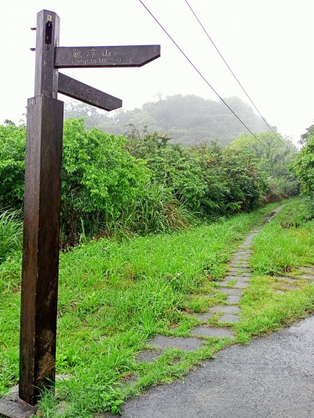 雨中漫步瑞芳二尖 - 龍潭山、秀崎山1317912