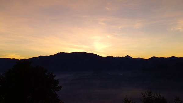 (姨婆趴趴走)第十五集:阿里山夜未眠曙光一日遊2213471