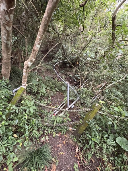 20251129女仍山步道2951769