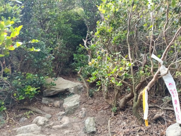 北投區大砲岩-石壇山-大師岩-湯守山-熱海岩場-八頭山-烏尖連山-軍艦岩3027343