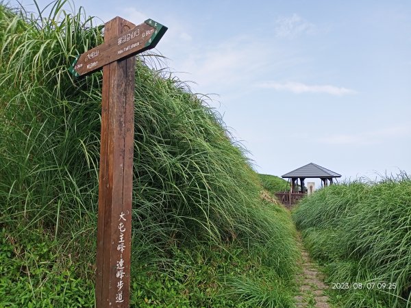 【臺北大縱走 2+1】鞍部→大屯山主、南、西峰連走→面天坪→清天宮2242871