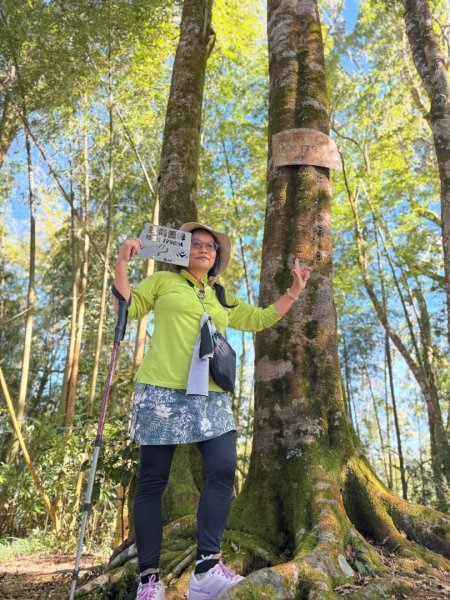 九穹神木 左訪嘉南雲峰 右到好望角看風景上石壁山(小百岳#55)2944779